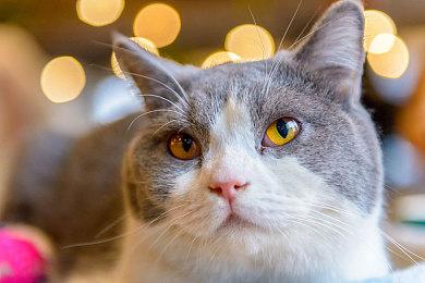 领英简历曝光《我的世界》当前收入与月活玩家状况